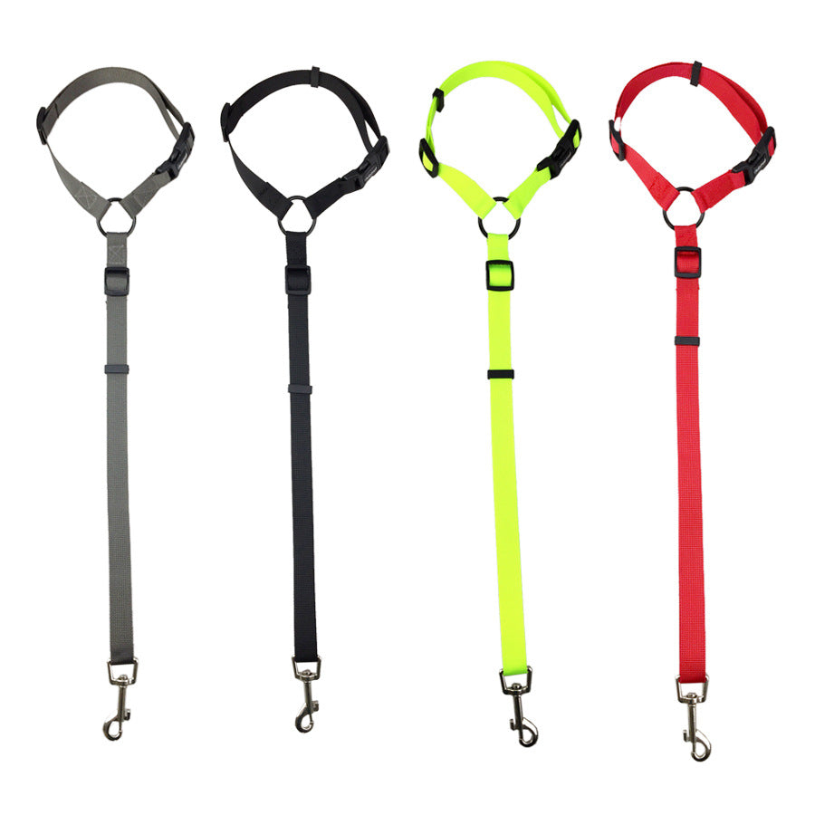 Pet safety car seat belt and leash
