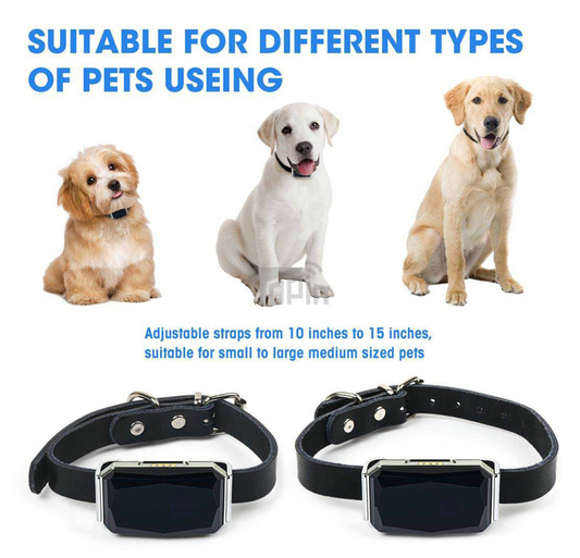 Pet Tracking Locator With GPS Tracker And Voice Monitoring