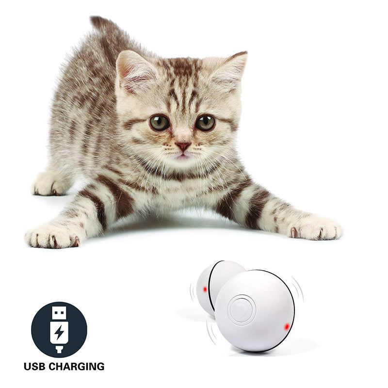 LED Electronic Rolling Ball And Funny Cat Toy