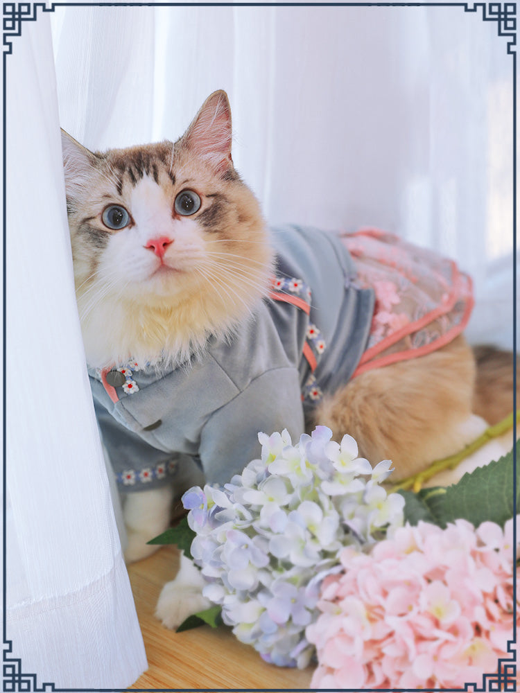 Cute Sweet Adorable Cat Dress