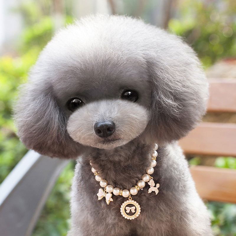 Pet pearl necklace