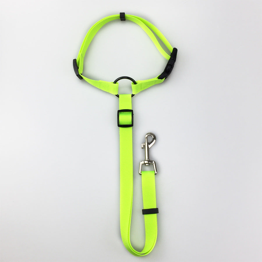 Pet safety car seat belt and leash