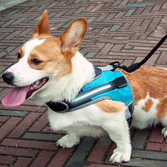 Pet Dog K-shaped Soft Padded Luminous Harness Leash