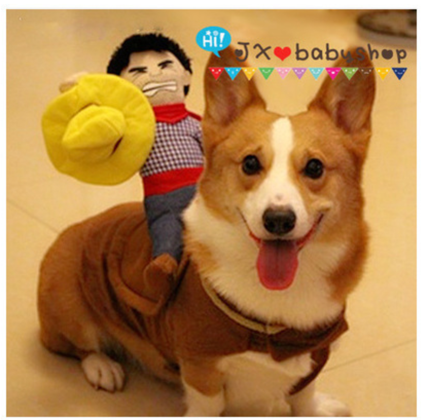 Riding Halloween Dog Cat Cowboy Rider Costume