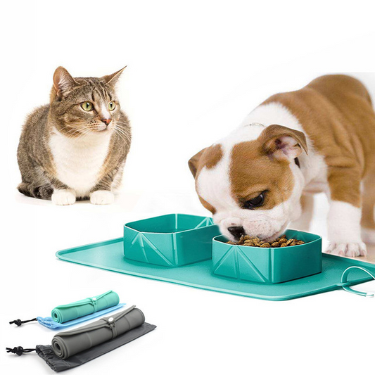 Silicone Folding Cat Dog Pet Bowl