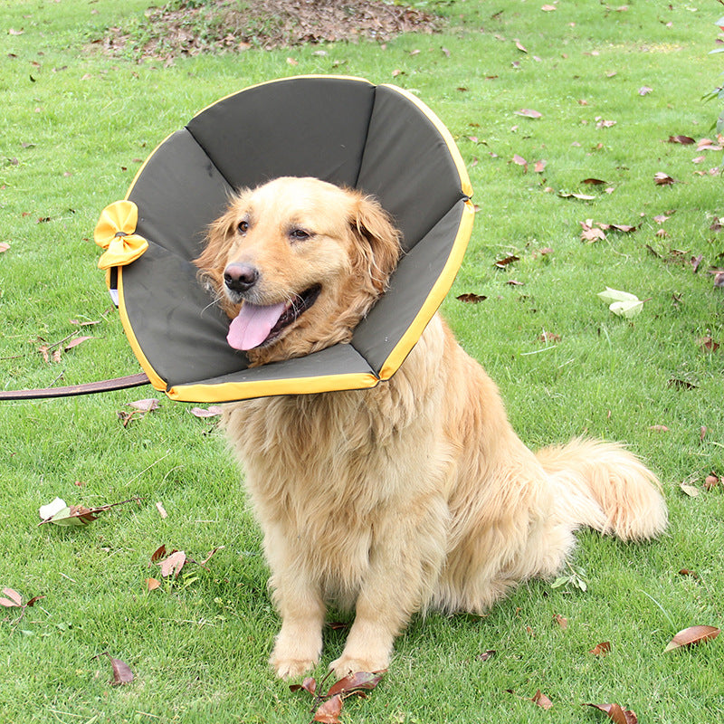 Pet Recovery  Cone For Dogs After Surgery