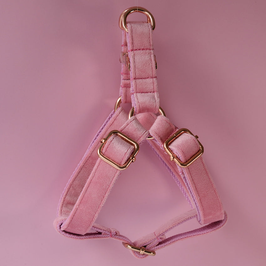 Flannel chest harness for pets