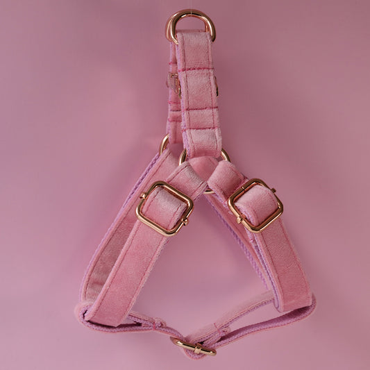 Flannel chest harness for pets