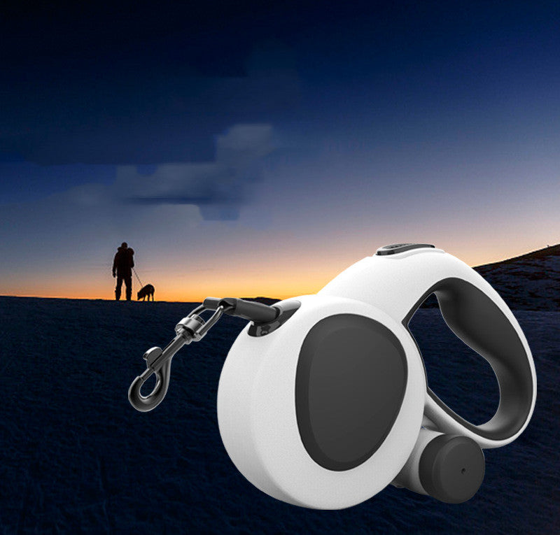 Led Light Dog Leash With Nylon Webbing