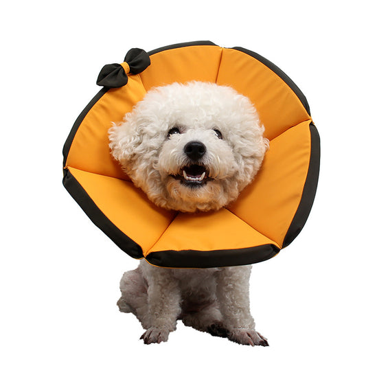 Pet Recovery  Cone For Dogs After Surgery