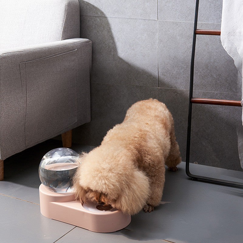 Automatic Nonelectric Cat & Dog Water Dispenser with Bowl