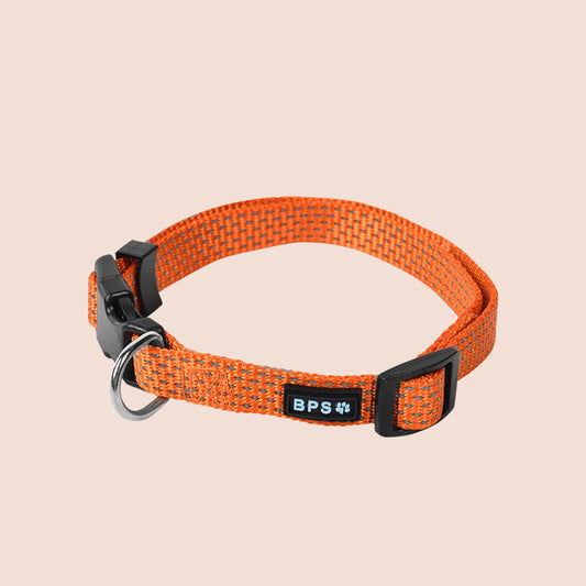 Luminous dog collar and neck leash