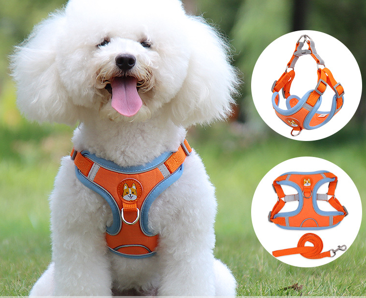 Vest Type Dog Harness and Reflective Leash for Small Dogs
