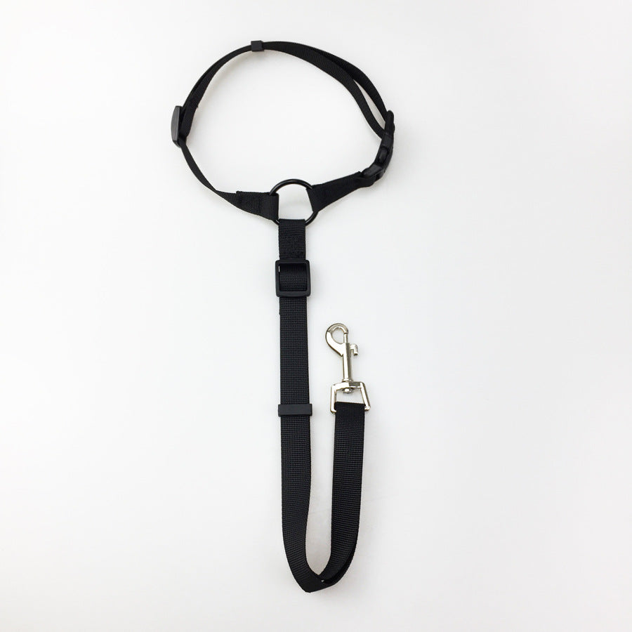 Pet safety car seat belt and leash