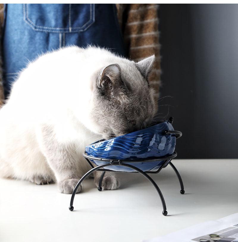 Ceramic Elevated Dog Cat Bowl for Feeding