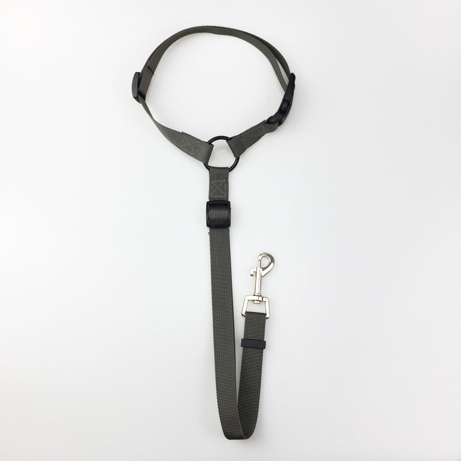 Pet safety car seat belt and leash