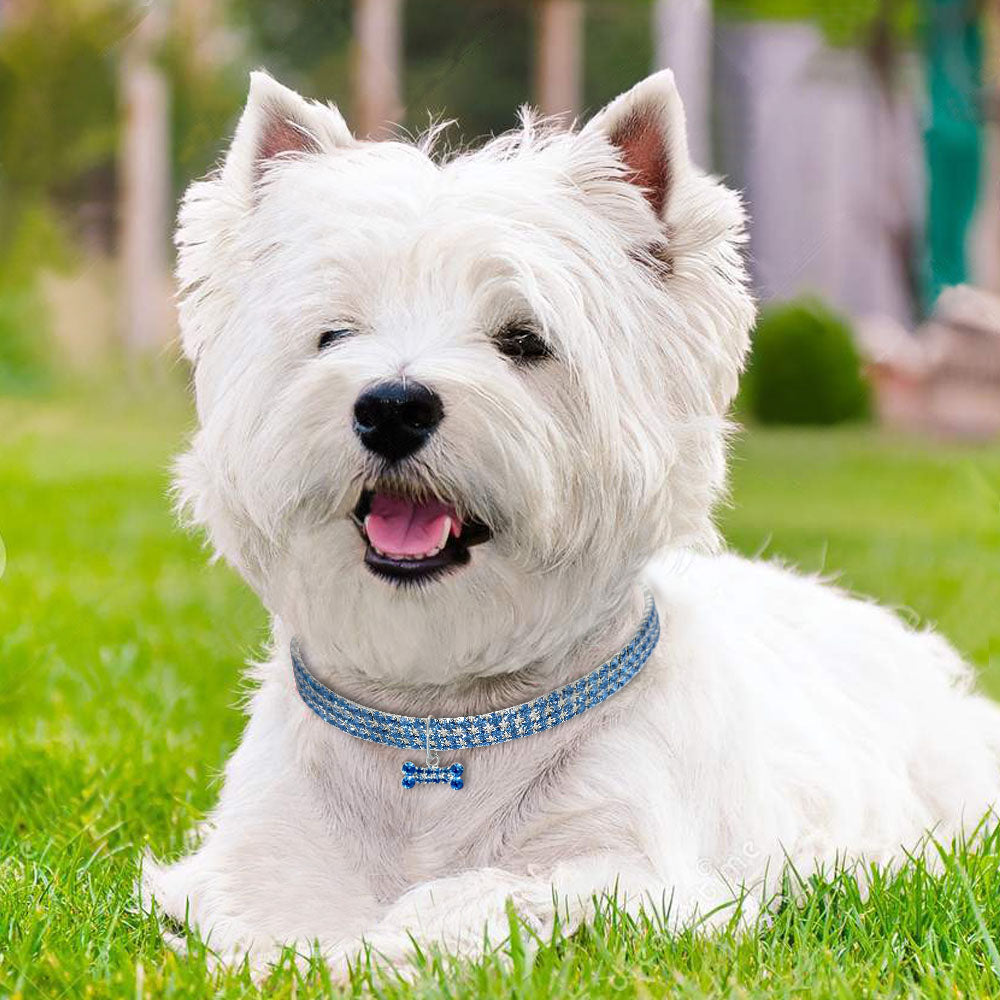 Crystal  Dog Cat Collars