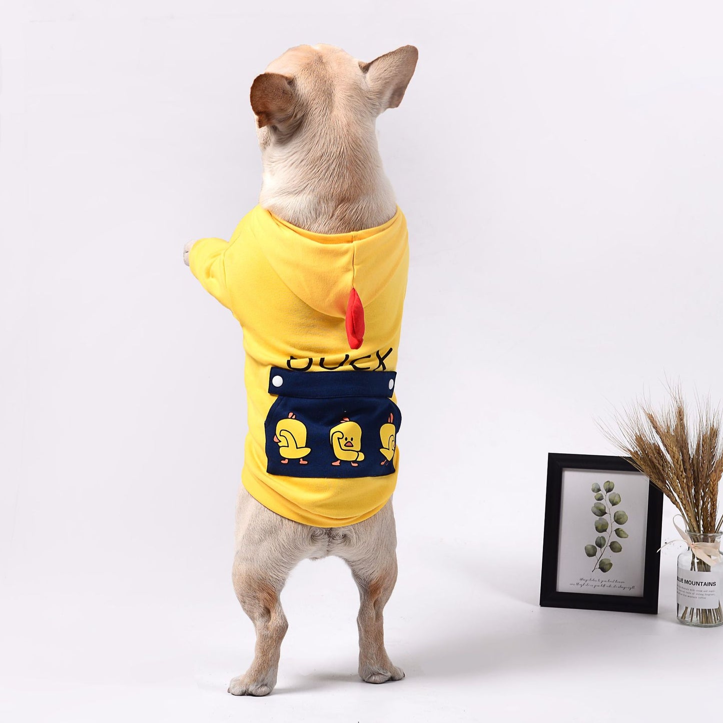 Yellow Duck Dog Hoodie for Bulldogs | Cute Dogs Clothes