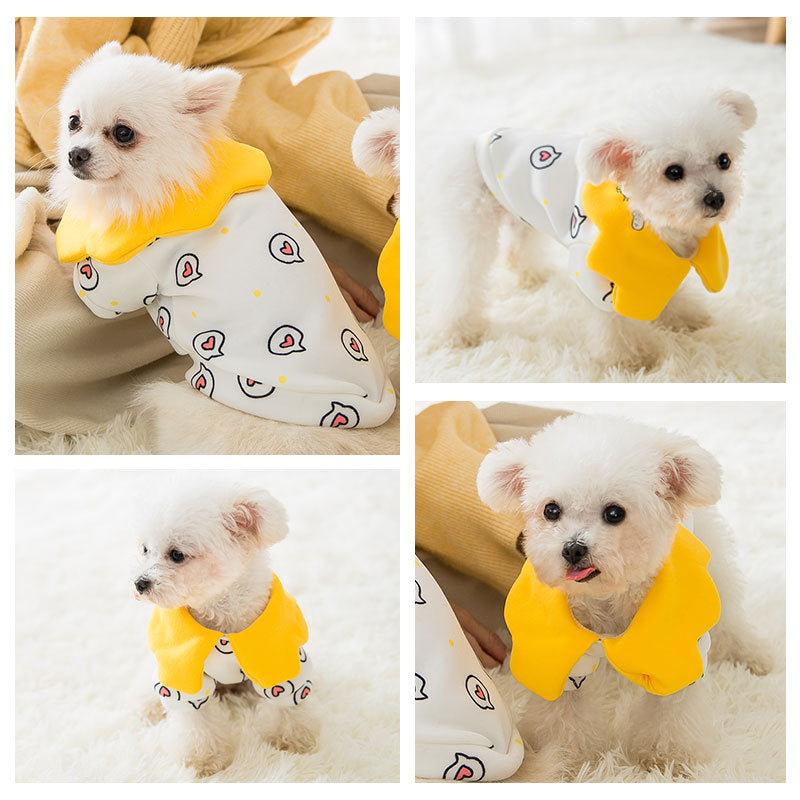 Beautiful Cat and Dog Pet Clothes