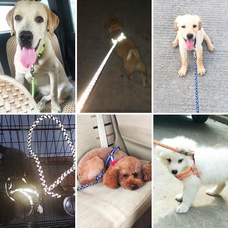 Pet Reflective Dog Leash With Collar Set