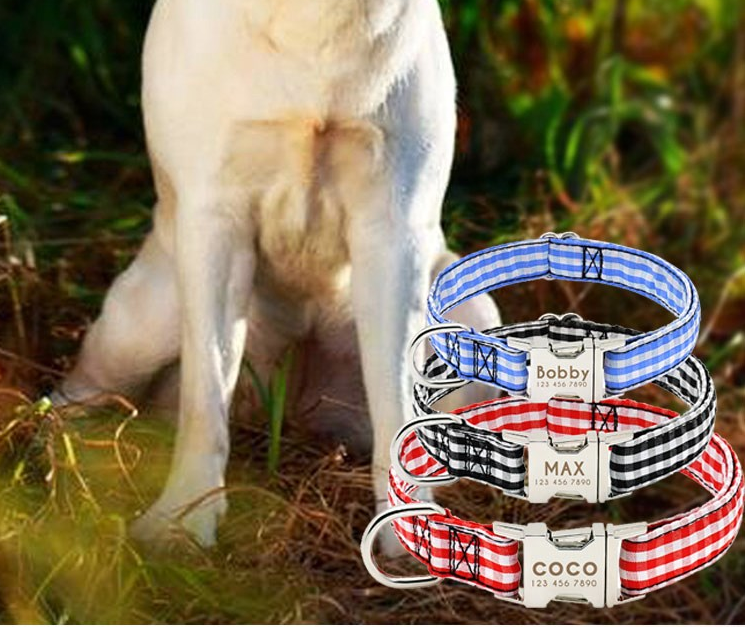 Pet Dog Name Collar | Custom Large Dog Lettering Tag