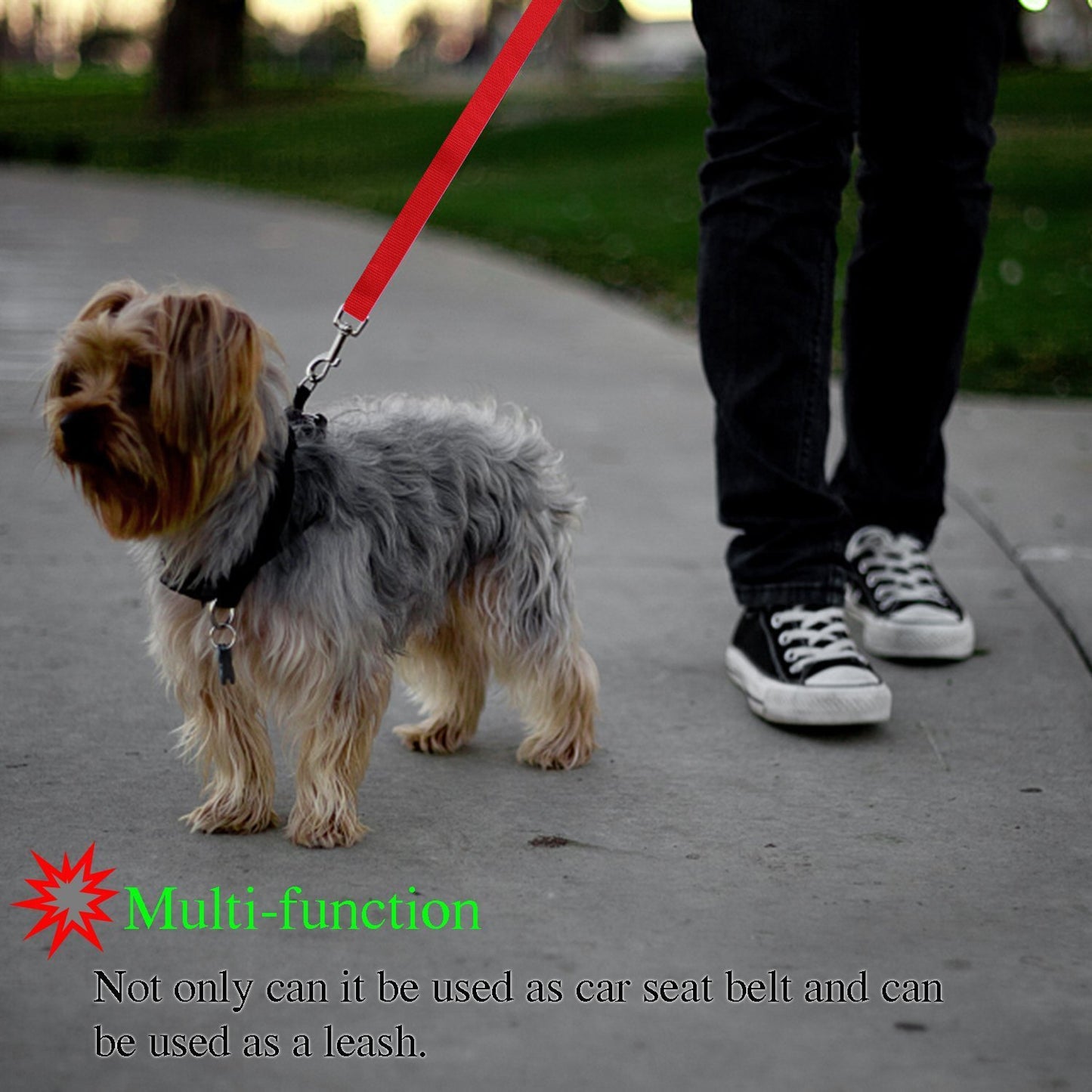Pet safety car seat belt and leash