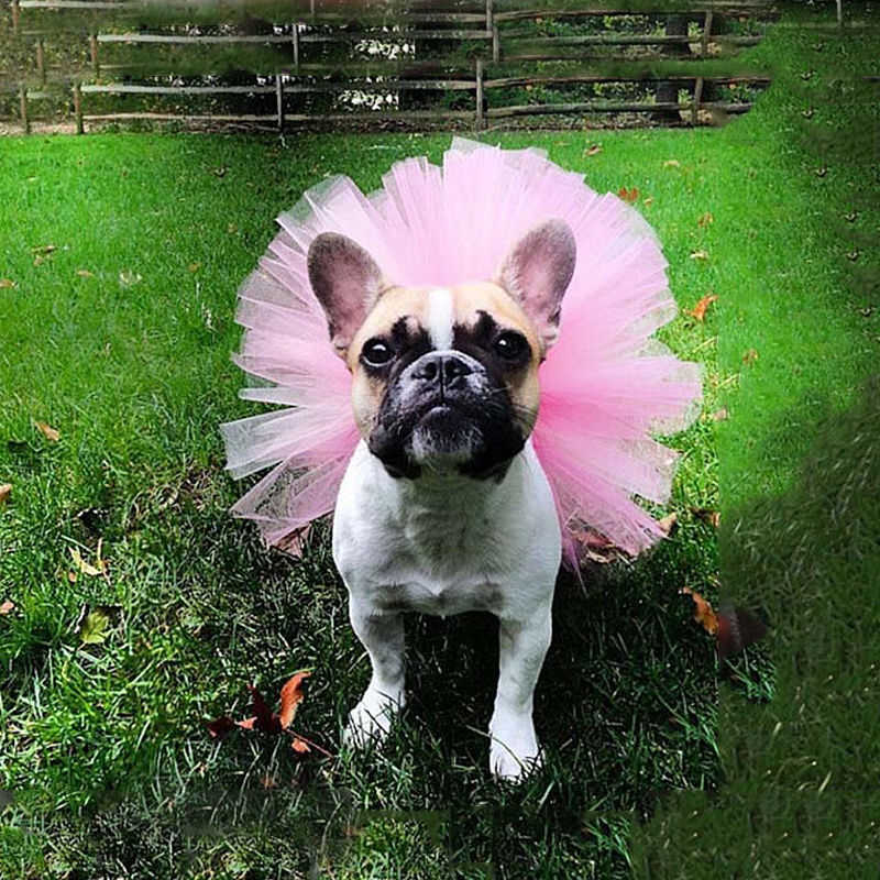 Cute Princess Lace Dog Tutu Party Skirt