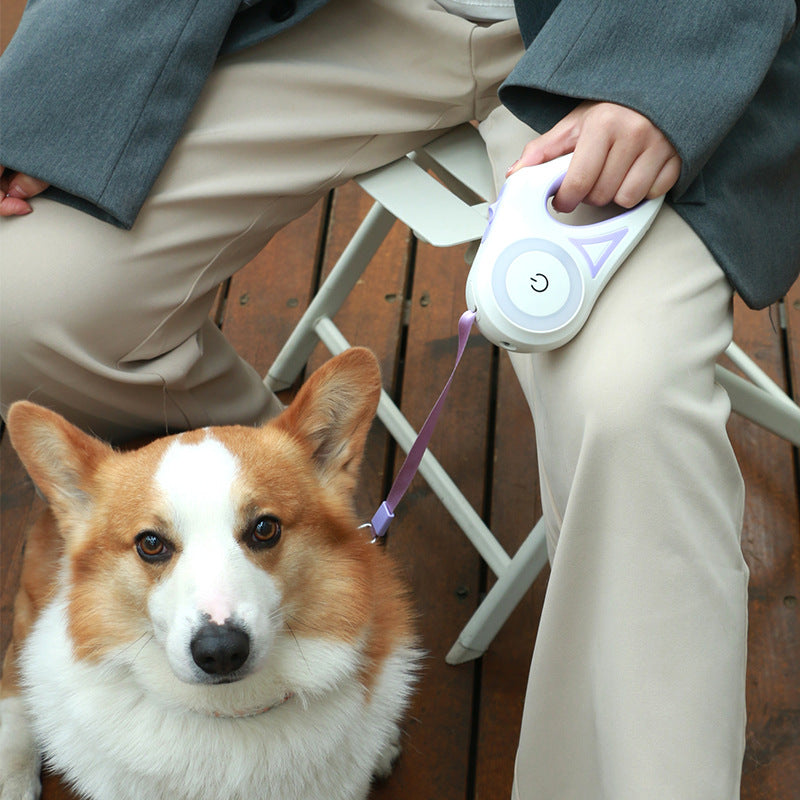 Retractable And Automatic Pet Dog Cat Traction Leash And Collar