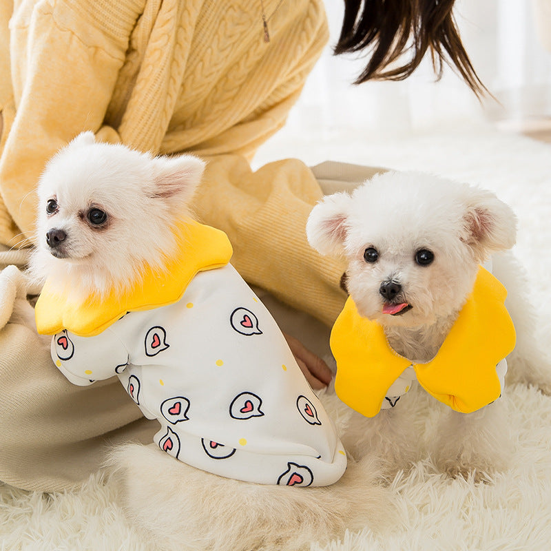 Beautiful Cat and Dog Pet Clothes