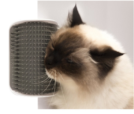 Cat Self-Grooming Brush and Wall Rubbing Device