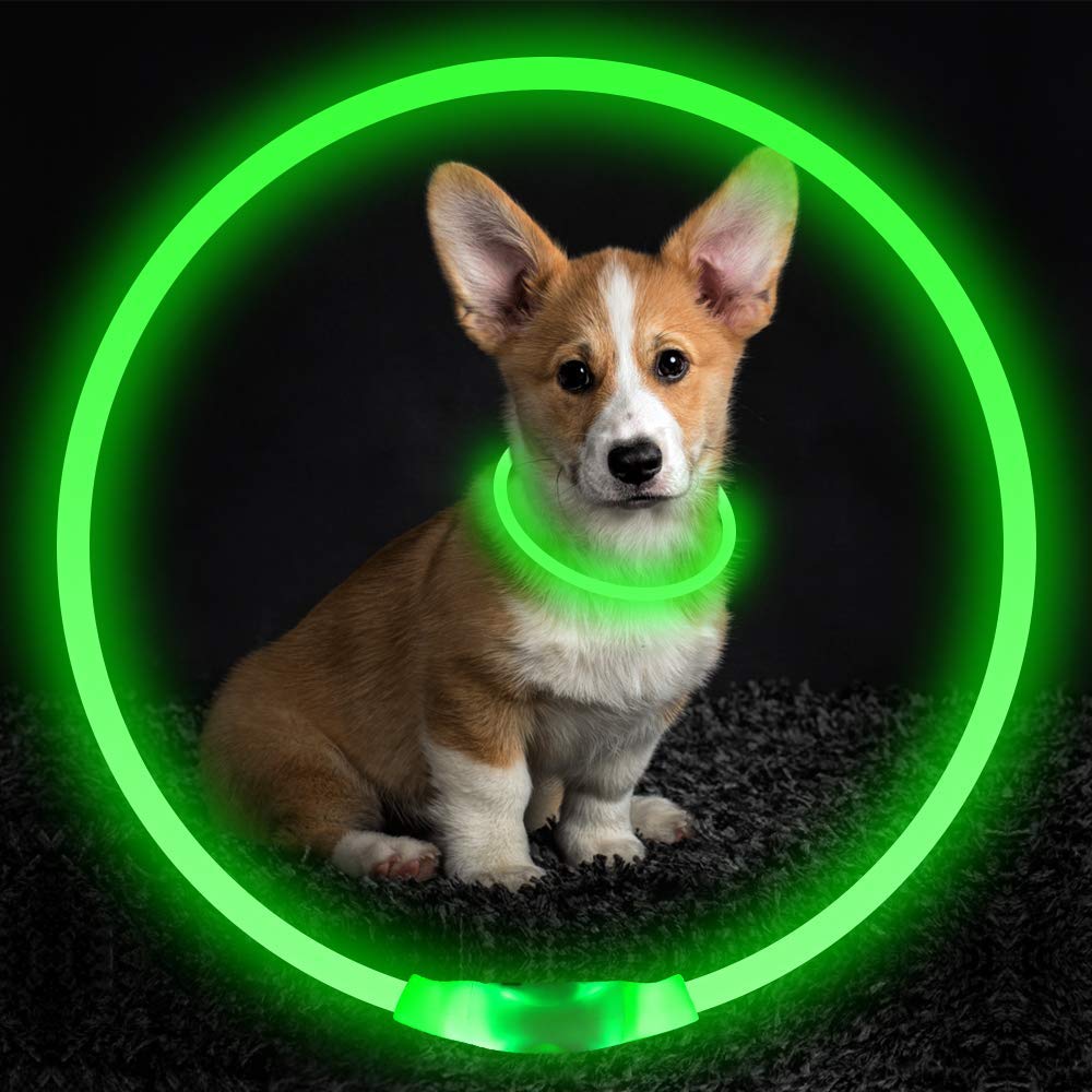 Rechargeable Pet Glowing Necklace And Safety Collar