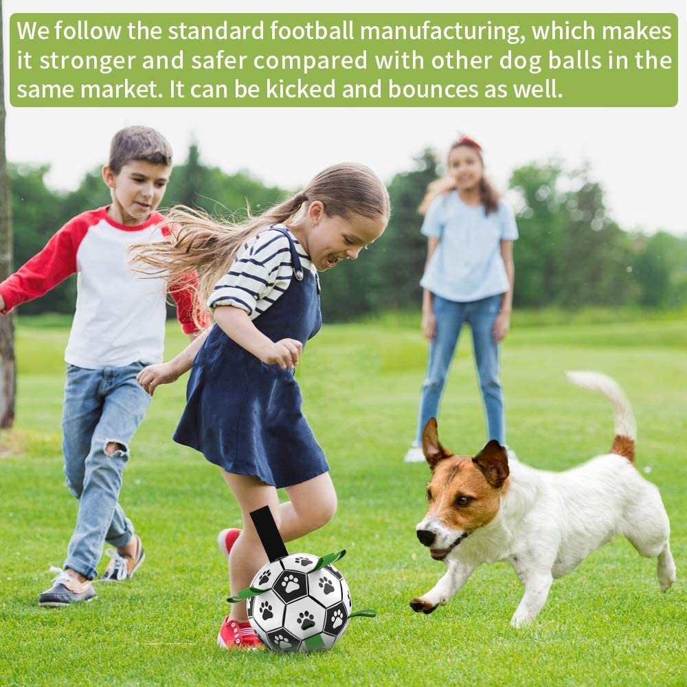 Interactive outdoor training Soccer Football  pet bite and chew balls for dog