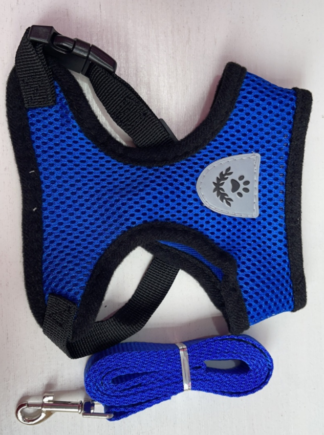 Pet chest strap harness and leash set