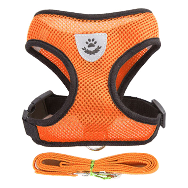 Pet chest strap harness and leash set