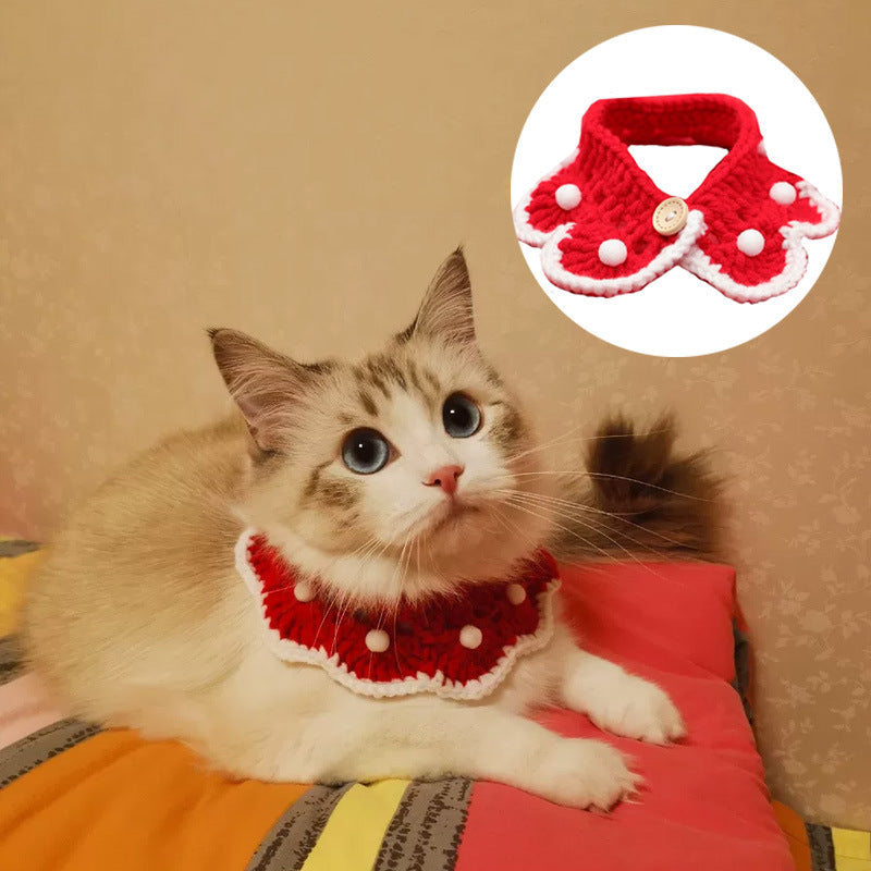 Pet Cats, Dogs, Rabbits, Knitted Collars And Christmas Ornaments