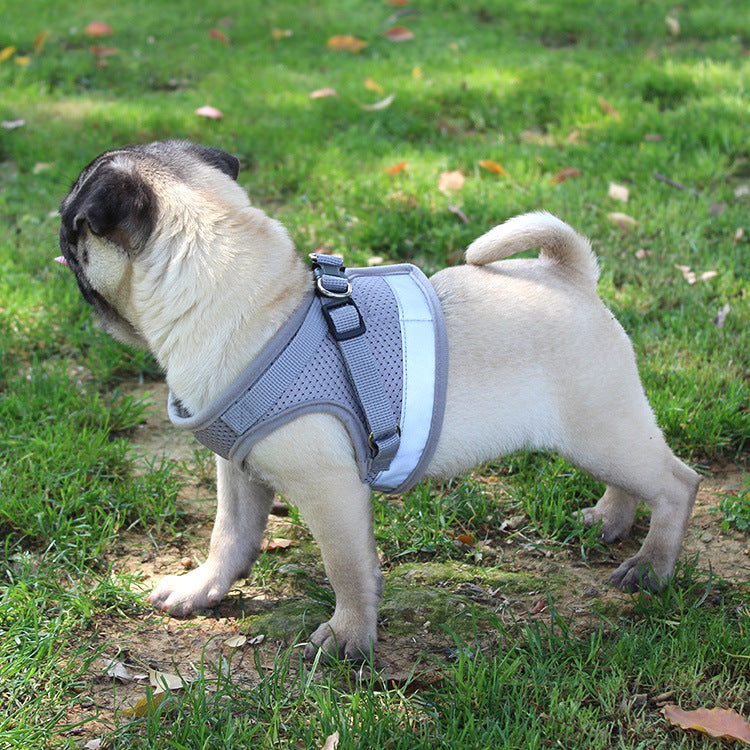 Pet Reflective Safety Dog Harness and Chest Strap