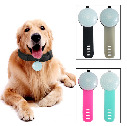 Pet Watch Strap Pendant To Prevent Loss At Night