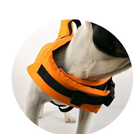 Pet Life Jacket | Dog Swimsuit