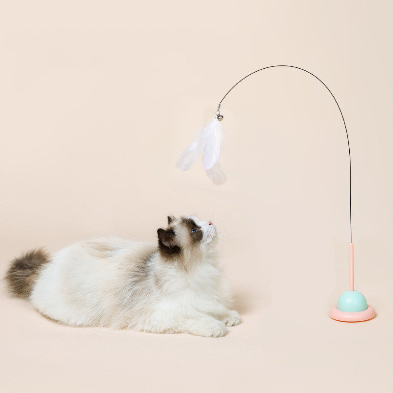 Household Fixed Cat Teaser And Interactive Toy