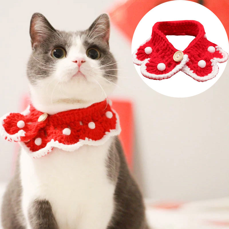 Pet Cats, Dogs, Rabbits, Knitted Collars And Christmas Ornaments