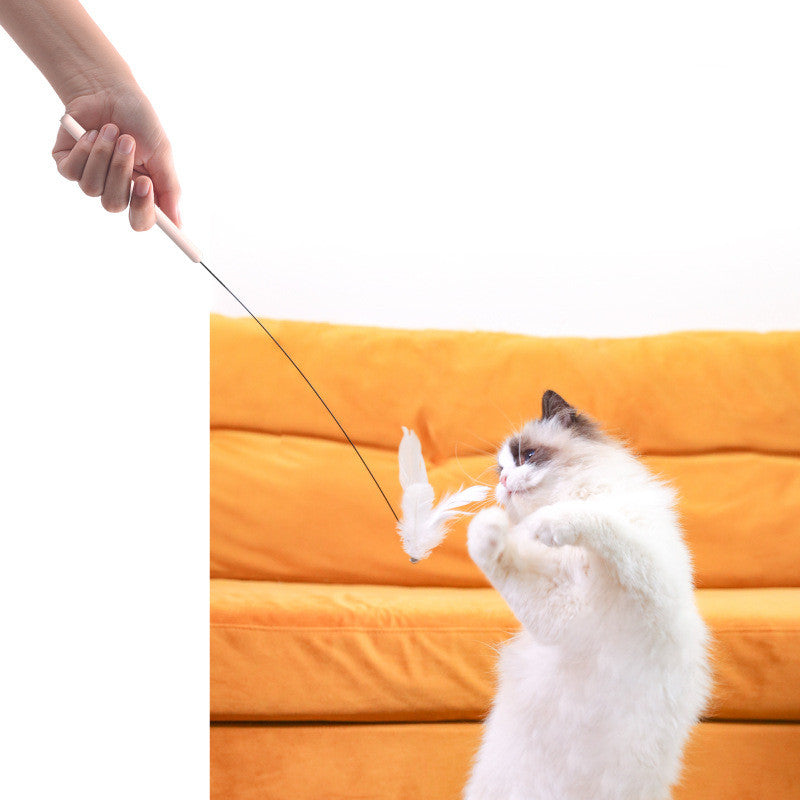 Household Fixed Cat Teaser And Interactive Toy