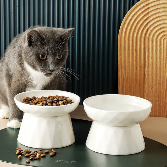 Elevated cat bowl feeder that protects spine
