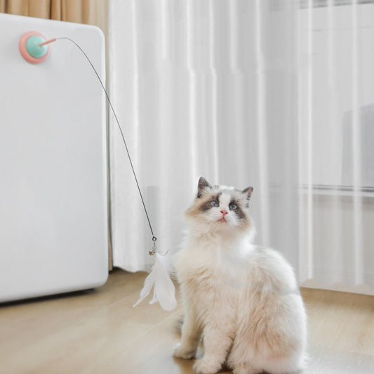 Household Fixed Cat Teaser And Interactive Toy