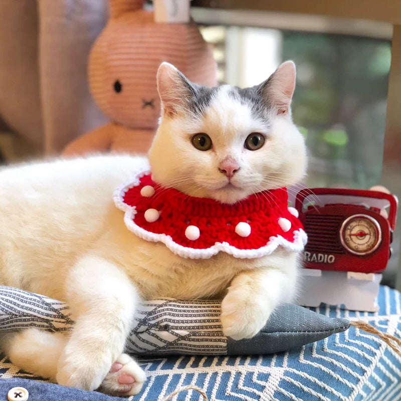 Pet Cats, Dogs, Rabbits, Knitted Collars And Christmas Ornaments