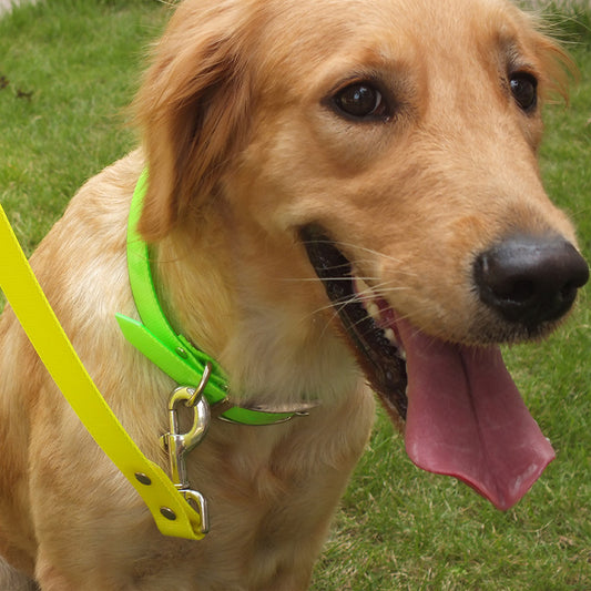 Dirty-resistant Pet Collars
