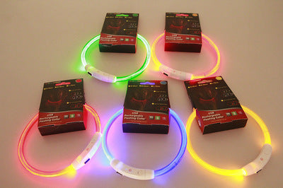 Rechargeable Pet Glowing Necklace And Safety Collar
