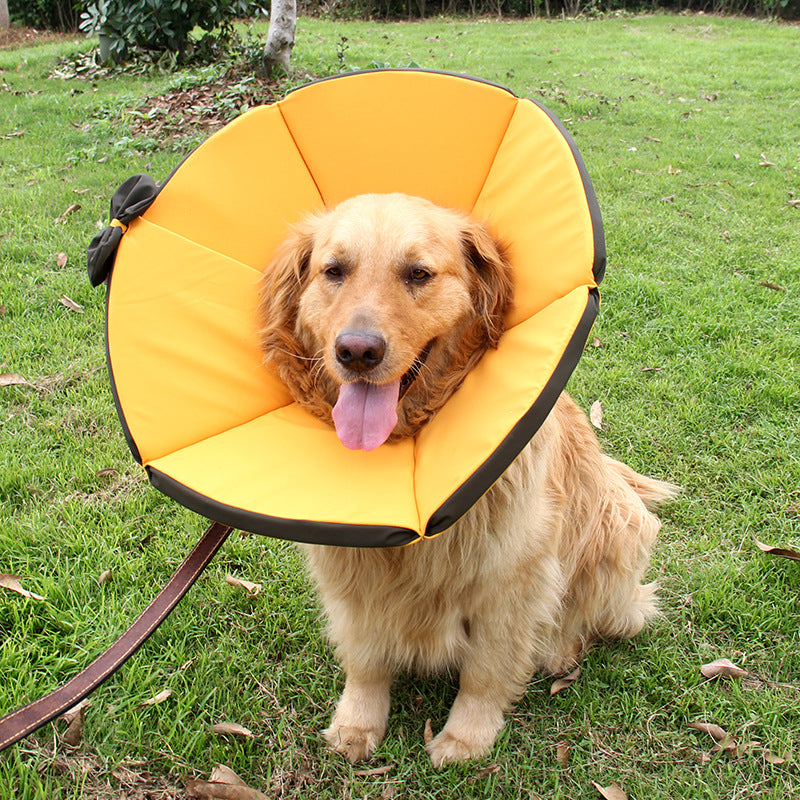 Pet Recovery  Cone For Dogs After Surgery
